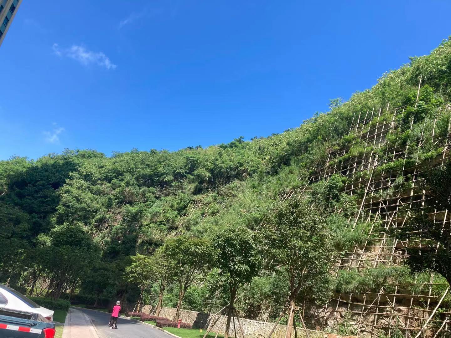 清远恒大银湖城边坡复绿工程